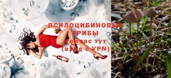гидра Сафоново